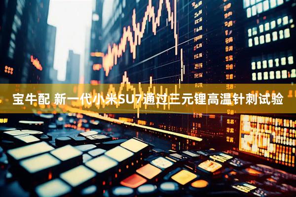 宝牛配 新一代小米SU7通过三元锂高温针刺试验