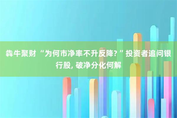 犇牛聚财 “为何市净率不升反降? ”投资者追问银行股, 破净分化何解
